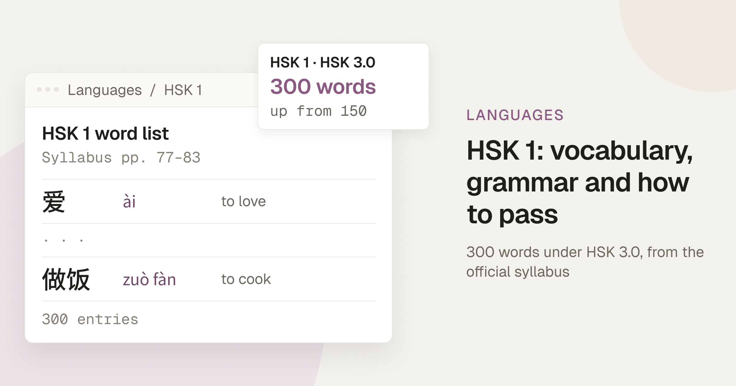 Cover: a window showing the official HSK 1 word list from 爱 (ài, to love) to 做饭 (zuò fàn, to cook), with a note that HSK 1 under HSK 3.0 has 300 words, up from 150.