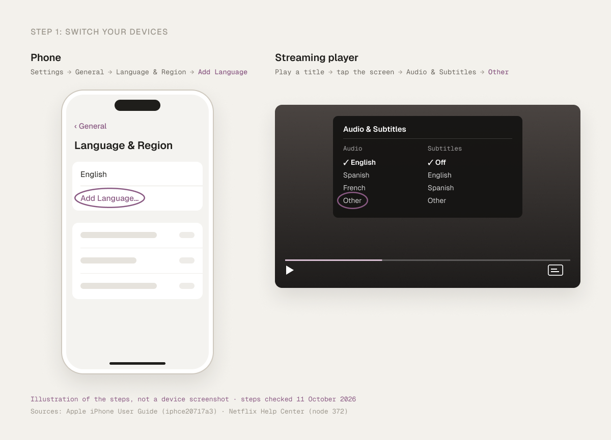 Illustration of two settings paths, not a device screenshot: on a phone, Settings, General, Language & Region with Add Language circled; in a streaming player, the Audio & Subtitles menu open with Other circled.