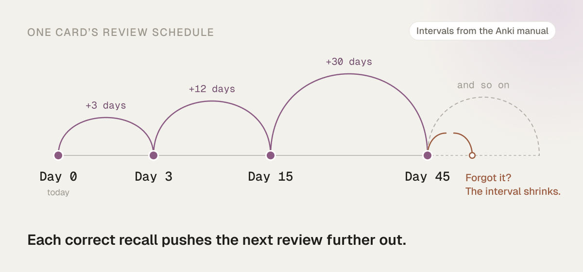 One card’s review schedule, using the Anki manual’s example: today, then 3, 15 and 45 days later. A miss shrinks the interval.