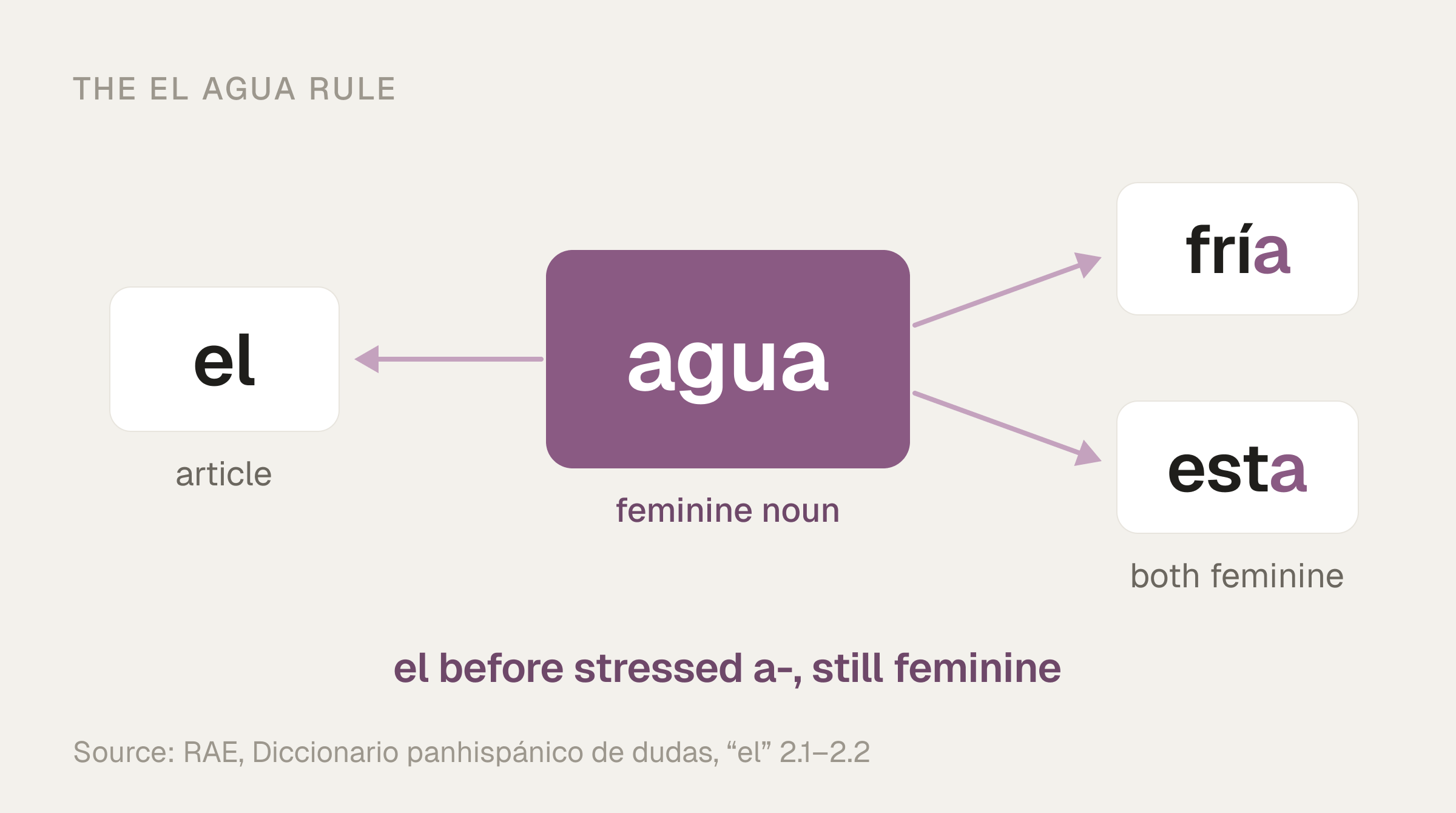 The noun agua in the centre with an arrow to the article el and arrows to fría and esta, both with a feminine -a ending: el before stressed a-, still feminine.