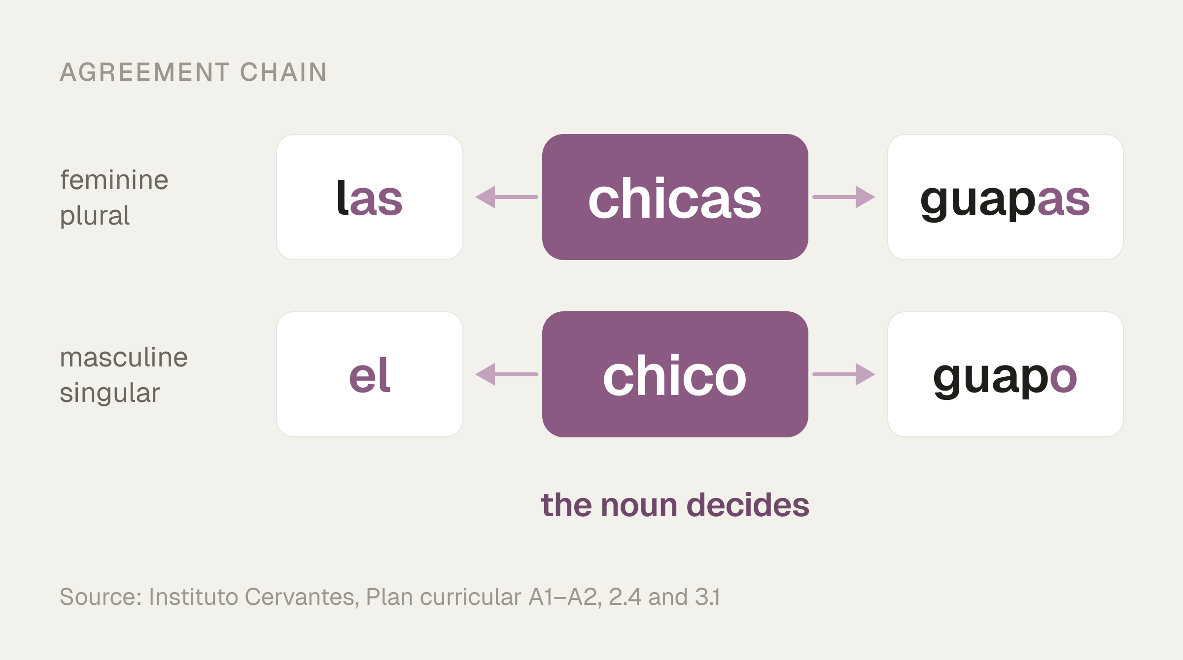 Two agreement chains: chicas passes its -as ending to las and guapas, and chico makes el and guapo; the noun decides.