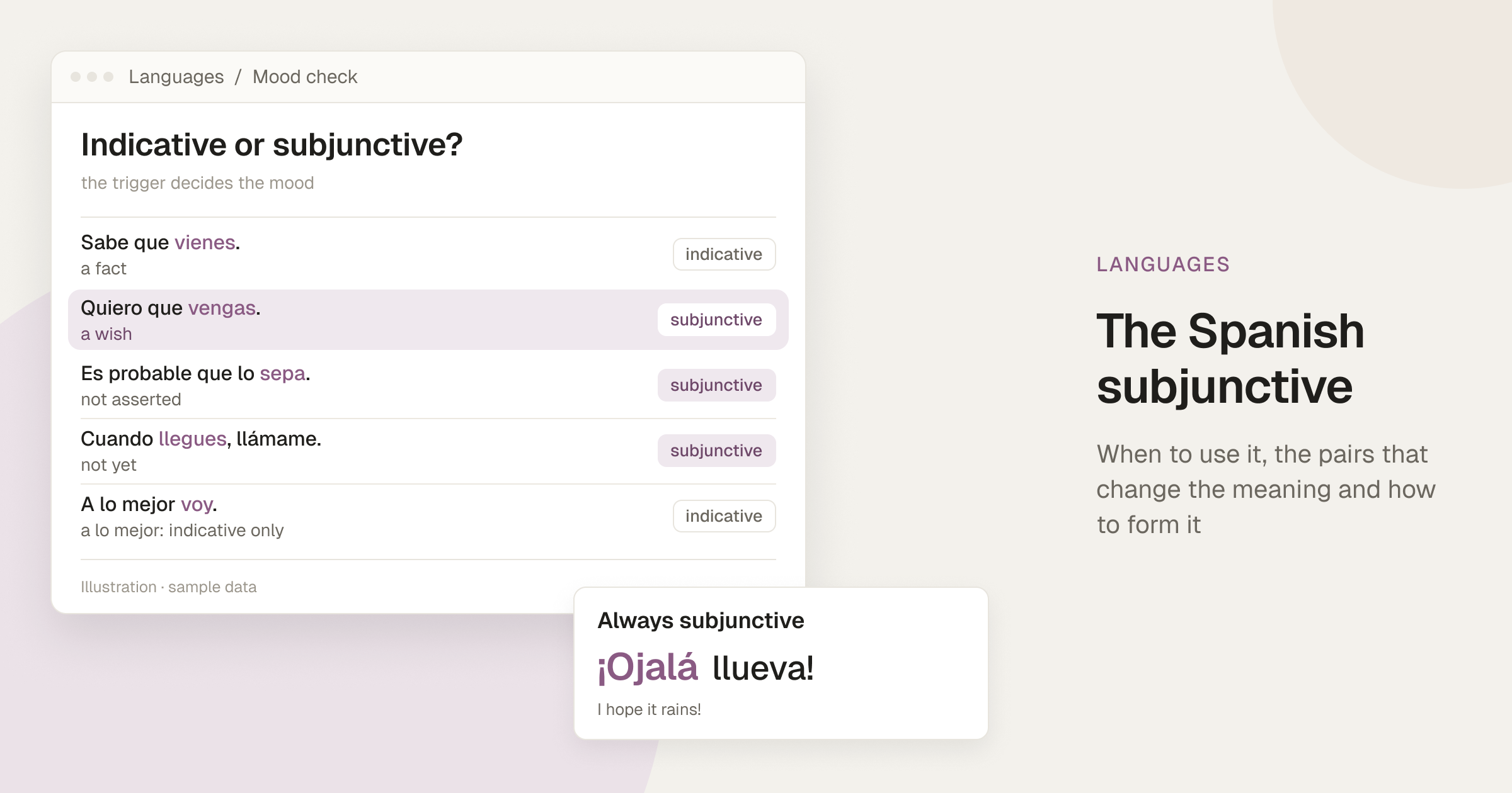 Cover illustration: a mood check list of Spanish sentences such as Sabe que vienes, Quiero que vengas and Cuando llegues, llámame, each tagged indicative or subjunctive, next to a card for ¡Ojalá llueva!, always subjunctive.